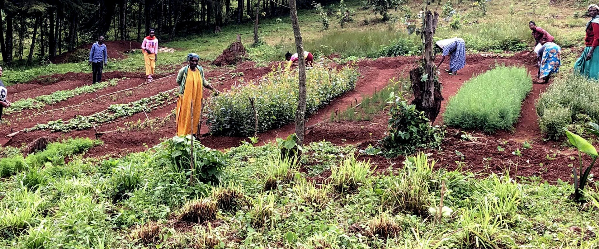 The Unsung Heroes of Agriculture: Celebrating the Vital Role of Small ...