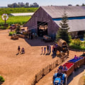 Explore The Best Farm-To-Table Experiences In Acton Near Los Angeles With Black-Owned Farms