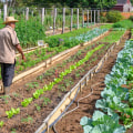 Why Small Farms Using Intensive Subsistence Agriculture Matter More Than Ever in Feeding Local Communities