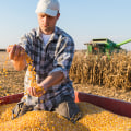 The Lucrative World of Farm Ownership