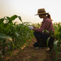 The Legacy of Small Farming: A Family Tradition