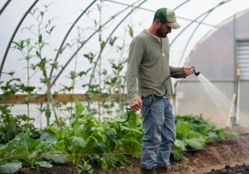 What Do Farmers Do in the Winter? Uncover the Real Work Behind Farming’s Quiet Season