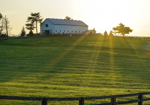 Not Sure Where to Start? Ranch vs Farm vs Homestead Tips