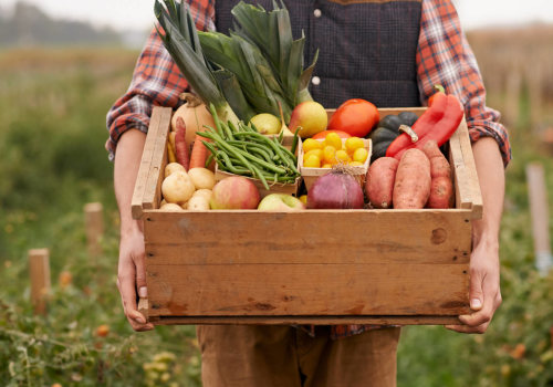 Maximizing Profits in Farming: The Top Money-Making Ventures for Agricultural Experts