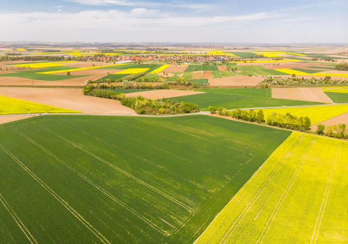The Importance of Family Farms in the Agricultural Landscape