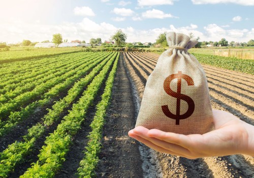 The Profit Potential of Owning a Farm: An Expert's Perspective