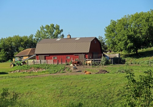 The Growing Trend of Hobby Farming: A Sustainable Way to Live and Thrive