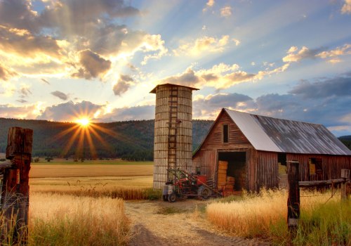 The Art of Homesteading: A Guide to Farming for Self-Consumption