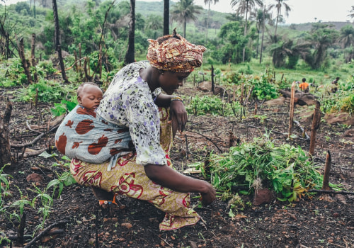 The Advantages of Subsistence Farming: An Expert's Perspective