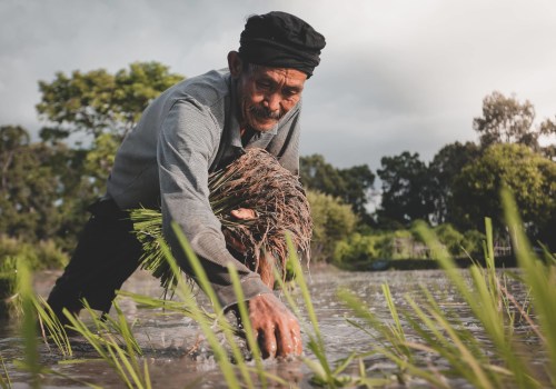 The Evolving Role of a Farmer