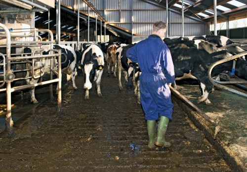 The Dynamic Role of a Farm Manager: Navigating the Complexities of Modern Agriculture
