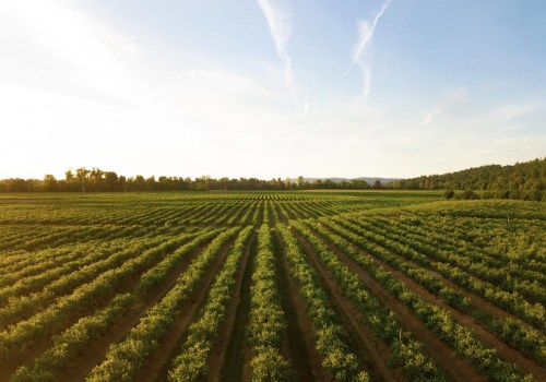 The Vital Role of a Farm Manager