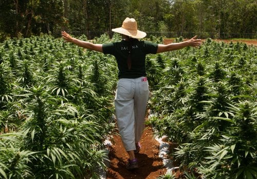 Discover Black Owned Organic Agricultural Farm Tours & Wellness Near Los Angeles For A Healthier You