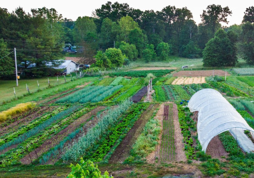 The Ultimate Guide to Becoming Self-Sufficient Through Subsistence Agriculture