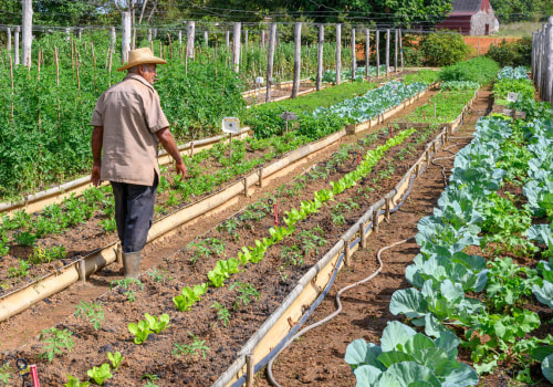 Why Small Farms Using Intensive Subsistence Agriculture Matter More Than Ever in Feeding Local Communities