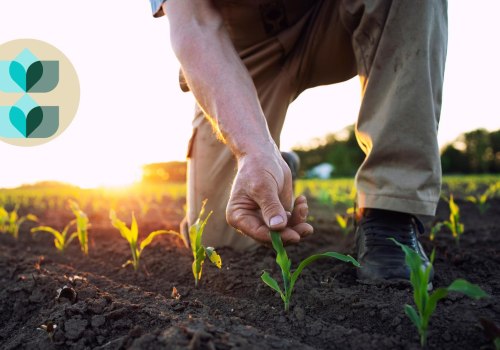 The Future of Farming: The Profitability of Medium-Sized Farms