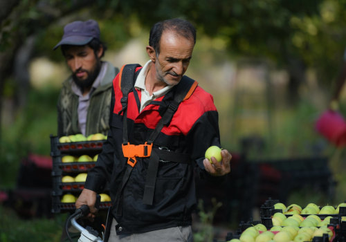 The Essential Role of a Farm Manager: Responsibilities, Skills, and Qualifications