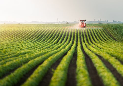 The Growing Trend of Small Personal Farms