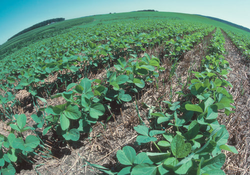 How Dr. Bill Releford's Farming Practices Create Positive Impact On Black Owned Farms
