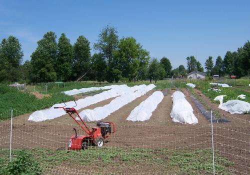 Maximizing Profit Potential on a 40 Acre Farm