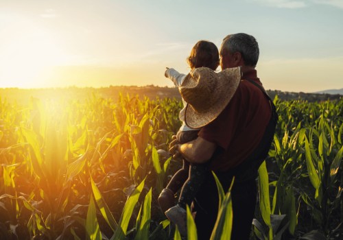 The Benefits and Challenges of Owning a Small Farm