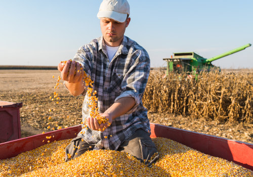 The Lucrative World of Farm Ownership