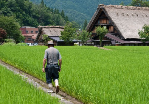 The Benefits and Challenges of Self-Sufficient Agriculture