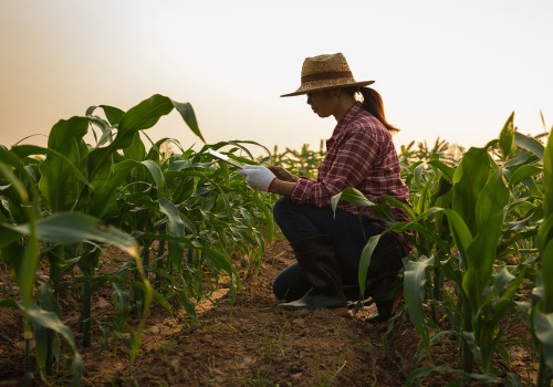 The Legacy of Small Farming: A Family Tradition