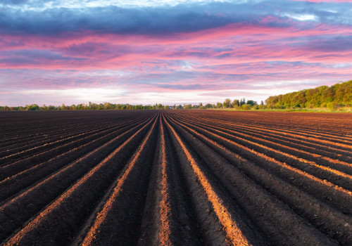 The Most Profitable Farming: A Comprehensive Guide for Farmers