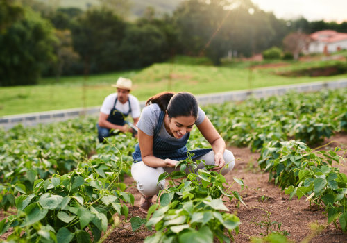 The Profitability of Owning a Farm